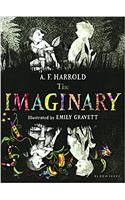 The Imaginary