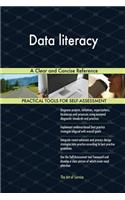 Data Literacy a Clear and Concise Reference