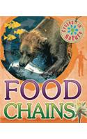 Cycles in Nature: Food Chains