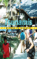 Witness to Disaster: Tsunamis