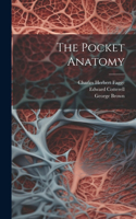 Pocket Anatomy