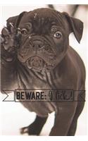 BEWARE; I Lick