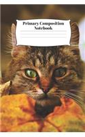 Primary Composition Notebook