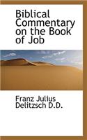 Biblical Commentary on the Book of Job: (English)