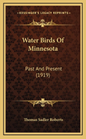 Water Birds Of Minnesota