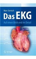 Das EKG: Auf Einen Blick Und Im Detail