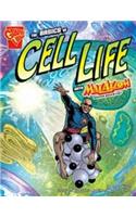 The Basics of Cell Life