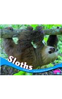 Sloths
