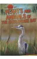 Plants and Animals of the Chesapeake Bay