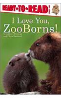 I Love You, Zooborns!