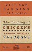 Feeding of Chickens