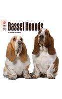Basset Hounds 2018 Calendar