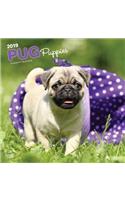 Pug Puppies 2019 Square