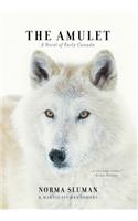 The Amulet