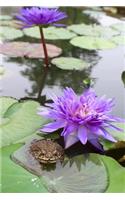 Purple Water Lily with a Toad Journal: 150 Page Lined Notebook/Diary