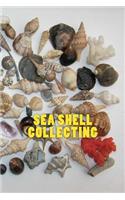 Sea Shell Collecting