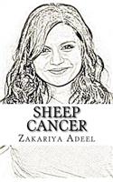 Sheep Cancer: The Combined Astrology Series