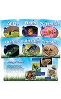 Insects (Big Buddy Books) (Set)