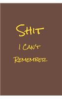 Shit I Can't Remember