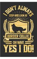 I Don't Always Stop and Look At Border Collie OH Wait, Yes I Do!