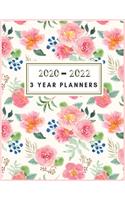 3 Year Planners