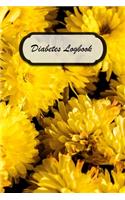 Diabetes Logbook: A Logbook to Track Your Blood Glucose Levels