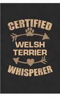 Certified Welsh Terrier Whisperer
