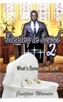 Sinning in Secret Volume 2