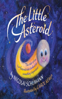 Little Asteroid