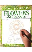 Flowers and Plants