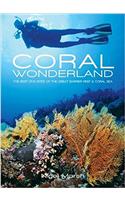 Coral Wonderland