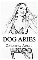 Dog Aries