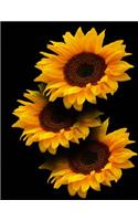 Sun Flower Notebook: 8.5 X 11 202 College Ruled Pages
