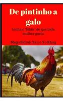 De pintinho a galo