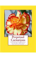 Perpetual Carnations