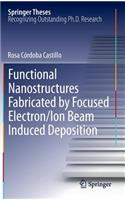 Functional Nanostructures Fabricated by Focused Electron/Ion Beam Induced Deposition