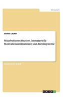 Mitarbeitermotivation. Immaterielle Motivationsinstrumente und Anreizsysteme