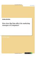 How Does Big Data Affect the Marketing Strategies of Companies?