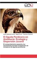 Águila Perdicera en Andalucía