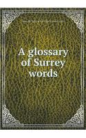 A Glossary of Surrey Words