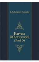 Sebastopol Harvest (Part 3)