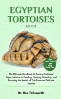 Egyptian Tortoises as Pet