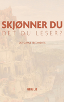 Skjønner du det du leser?
