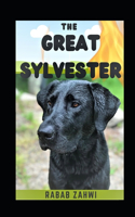 The Great Sylvester: Street dog who is saved the child life and becomes the hero