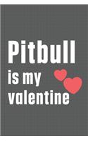 Pitbull is my valentine: For Pitbull Dog Fans