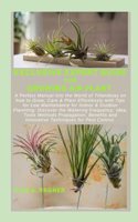 Exclusive Expert Guide for Growing Air Plant: A Perfect Manual into the World of Tillandsias on how to Grow, Care & Plant Effortlessly with Tips for Low Maintenance for Indoor & Outdoor Planntin