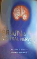 THE BRAIN & CENTRAL NERVOUS SYSTEM