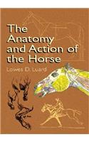 The Anatomy and Action of the Horse
