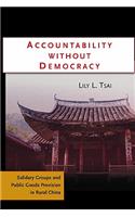 Accountability Without Democracy