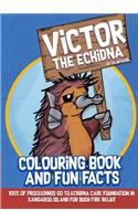 Victor The Echidna